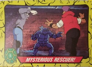 1989 TOPPS TEENAGE MUTANT NINJA TURTLES TV Trading Cards