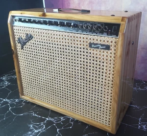 fender princeton chorus, stereo 2 x10, custom cabinet, new Celestions, Road Case - Picture 1 of 17