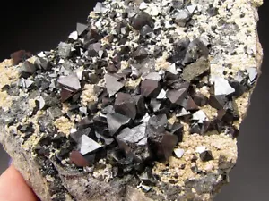 Magnetitkristalle auf Matrix Cerro Huanaquino Potosi Bolivien - Bild 1 von 8