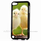 ( For Ipod Touch 6 ) Back Case Cover Aj10628 Little Chick