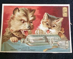 Botella de extracto de estanque vintage victoriana tarjeta comercial gato gatito perro ratón - Imagen 1 de 3