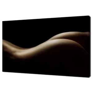 Sexy Mujer Desnuda Vagabundo Diseño Erótico Moderno Decoración del Hogar Lienzo Impresión Arte de Pared - Imagen 1 de 7