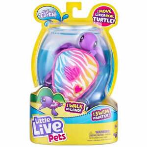Little Live Pets Lil' Turtle Series 9 - Sea Heart - Moves on Land and Water
