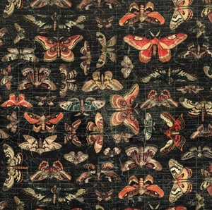 Free Spirit - Palette Seasonal By Tim Holtz - Moth Study - Halloween, Fabric BTY - Picture 1 of 7