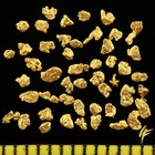 20 | 50 Echte Goldnuggets aus Alaska 1 mm 20-23 Karat Münze Barren Schmuck