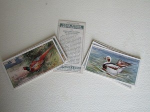John Player 1927 ~ Game Birds and Wild Fowl Cicarette Cards Card Variants (e18)