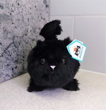 Jellycat ~ Black Kitten Caboodle ~ Cute Kawaii Plush Cat Soft Toy ~ KIC3B ~ BNWT