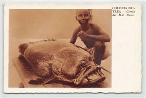 Eritrea - Red Sea grouper - Publ. Cartoleria A.O. 40 - Picture 1 of 2