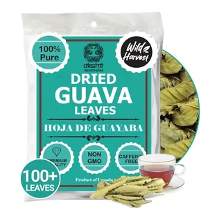 100+ Premium  Guava Leaves, Hojas de Guayaba Guayabo, Psidium Guajava, 2.6 Oz - Picture 1 of 5