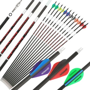 31" Pure Carbon Arrows Archery SP300-600 Compoundbow Recurve Bow Fields Hunting - Picture 1 of 18