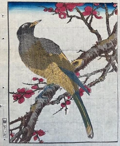 Kitao Shigemasa 1805 Booklet of 8 Coloured Woodblock Prints of Birds & Flowers - Picture 1 of 12