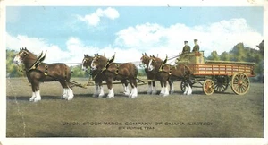 Union Stock Yards Company of Omaha Six Horse Team Clydesdales Nebraska Postkarte - Bild 1 von 2