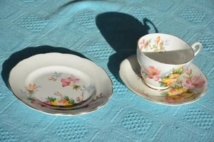 Royal STANDARD Trio Set #458 Tea Cup, Saucer, Plate. AZALEA Design England - Foto 1 di 1