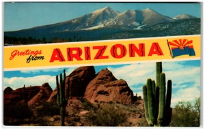 Postcard Large Letter Greetings From Arizona Dual View - Picture 1 of 2