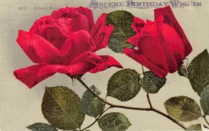 Postal: Deseos de cumpleaños sinceros, Liberty Roses, DB sin publicar años 1910 - Imagen 1 de 2