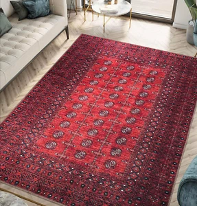 Machine Washable Area Rugs with Non-Slip Backing, Ideal for Hallway, Living Room - Picture 1 of 9