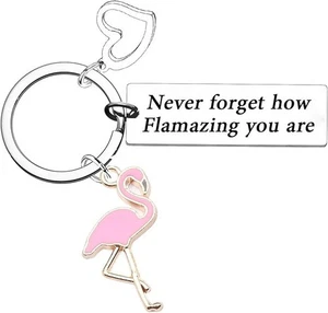 Schlüsselanhänger Geschenk an Freundin - Freundin rosa Flamingo Ermutigung Flammen Sie - Bild 1 von 3