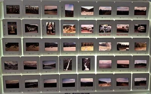 VTG 76 Slides 1980 Alaska Dall Sheep Ram, Gold Dredge, Santas House North Pole - Picture 1 of 12