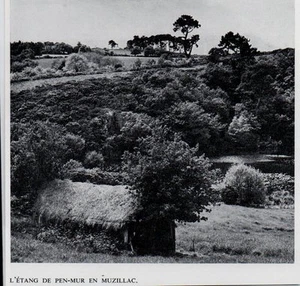 1977 -- L ETANG DE PEN MUZILLAC WAND 3K557 - Bild 1 von 1