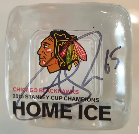 2015 Blackhawks Stanley Cup HOME ICE CUBE - Andrew Shaw 1/1 RARE Cover