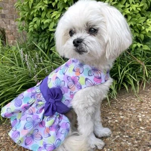 Doggie Design Purple Butterfly Dog Dress with Matching Leash  XS-S-M-L-XL - Picture 1 of 8