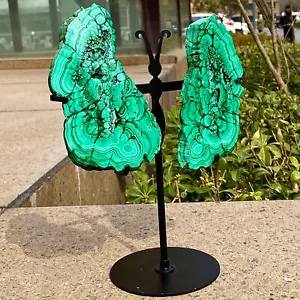 2.37LB High quality peacock wings - crystal collection artwork+base - Foto 1 di 12