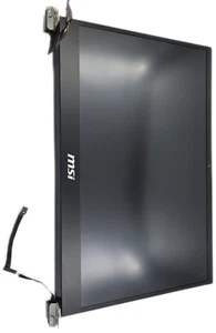 MSI GS66 Stealth 15.6" LED LCD Screen Assembly 1920x1080 Matte  - Picture 1 of 7