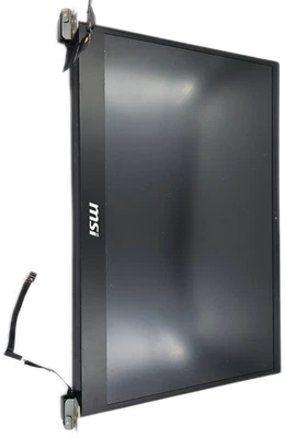 MSI GS66 Stealth 15.6" LED LCD Screen Assembly 1920x1080 Matte  - Image 1 of 4
