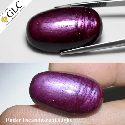 💎 GLC CERTIFIED 66.94ct Oval Natural 6 Ray Star Ruby - Unheated, Mozambique Gem - Image 1 of 4