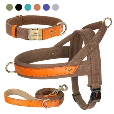 Personalized Dog Collar & Walking Leash & Soft Padded No Pull Vest Harness XS-L - Image 1 of 4