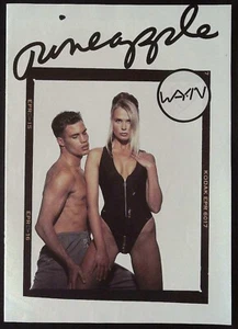 Rare Sexy 1991 DEBBIE MOORE Pineapple SWIMWEAR Catalog / Catalogue TERRI SEYMOUR - Imagen 1 de 6