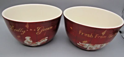 СЕРТИФИЦИРОВАННЫЙ МЕЖДУНАРОДНЫЙ ~ набор из 2 ФЕРМЕРСКИХ чаш для мороженого Danhui Nai - Изображение 1 из 4