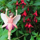 Cicely Mary Barker Retired FUCHSIA FAIRY Flower Fairies Figurine 86991