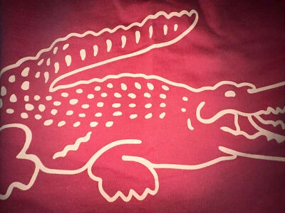 LACOSTE 🐊 PANTALONES CORTOS DE ALGODÓN ORGÁNICO ESTAMPADO DE GRAN TAMAÑO [CH3842-51 67G] Pequeño 3 SM S Foto 1 de 4