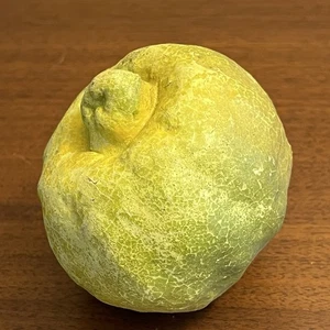 Antike 1920-30er Jahre Pomelo Münzbank - Pappmaché Volkskunst Obst roter Ton K2 - Bild 1 von 18