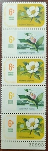 SC 137&1379 Botanical Congress  1969 6c Stamps  (5) MNH OG 30993 - Picture 1 of 1