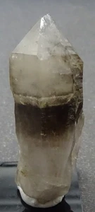 Smoky Quartz Scepter Crystal, Nevada - Mineral Specimen for Sale - Picture 1 of 4