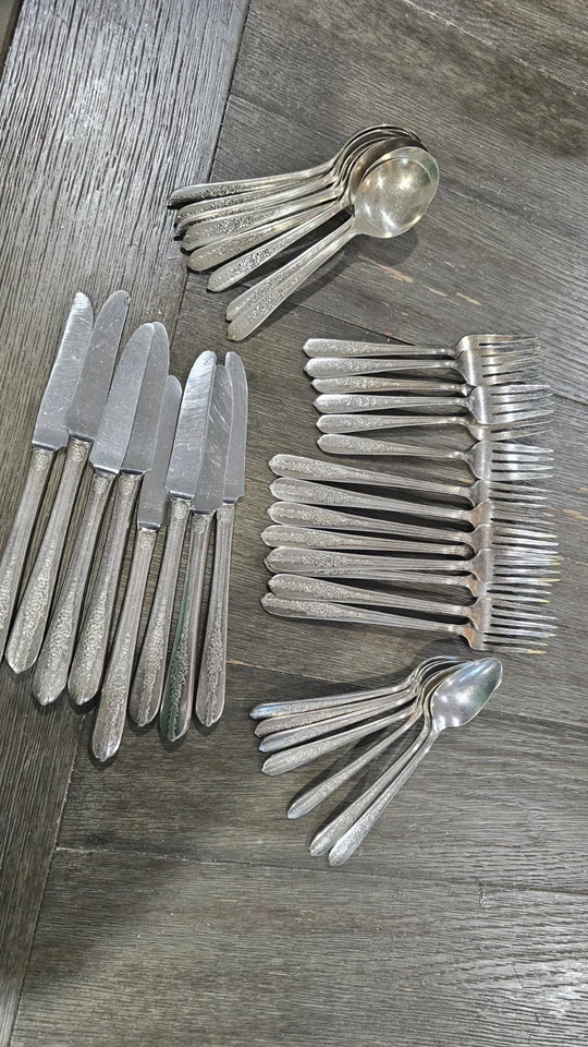 Plato Nobleza Vintage Platería Rosa Real 42 Piezas Plato Plata (B5) Foto 1 de 4