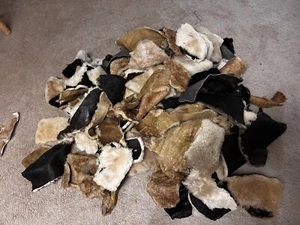 Fur Scrap Fox Coyote Craft Remnants 1 Pound Mix Upcycling (BY POUND) - Picture 1 of 3