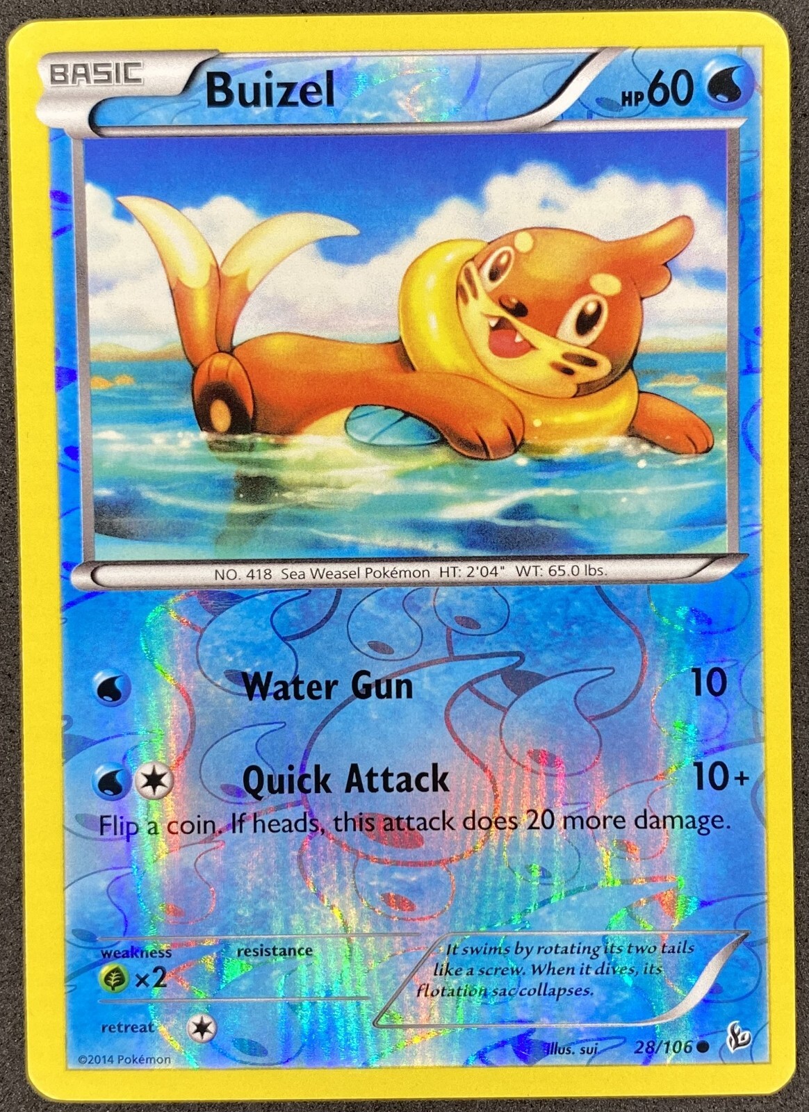 Pokémon Buizel Reverse Holo 28/106 FLF Flashfire LP/NM