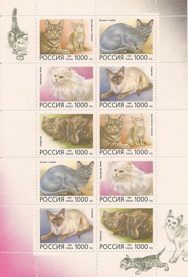 Russia 1996 Mini Sheet Sheetlet Minr : 485 - 489 Cats - Image 1 of 1
