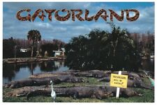 Gatorland Orlando FL Postcard Gators Lake Trespassers will be Eaten