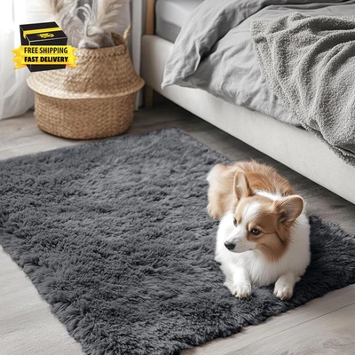 2X3 Machine Washable Small Bedside Rug, Soft Fluffy Shaggy Entryway Throw Rugs f - Image 1 of 4