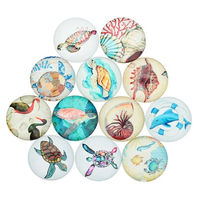 20pcs Flatback 10-20mm Round  Glass Cabochon Marine Animal Pattern Cameo Jewelry - Image 1 of 4