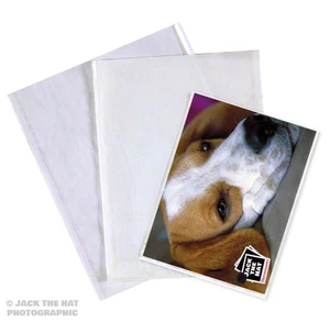 Photo Rangement Manches Sacs Enveloppes Sachets 10.5 x 8.5 " Archive Imprimé X - Photo 1 sur 12