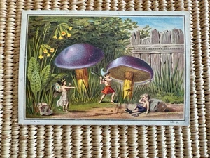 MUSHROOMS ELVES FAIRIES STRANGE 1800s CHRISTMAS SEASONS GREETINGS 3 3/8" X 5" - Picture 1 of 3