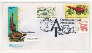 1991 DAMASCUS VIRGINIA PICTORIAL APPALACHIAN TRAIL STATION RARE BROOKMAN FARNAM - Picture 1 of 1
