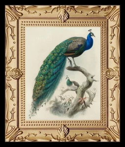Cuadro artístico miniatura de casa de muñecas Peacok Bird 8597 - Imagen 1 de 1