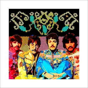 MARIA MURGIA "Serie Pop Art: The Beatles" cm 50x50 Edizione limitata 1/8 - Foto 1 di 6