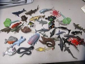 Sea Life Lot 35+ Sea Life - Picture 1 of 4